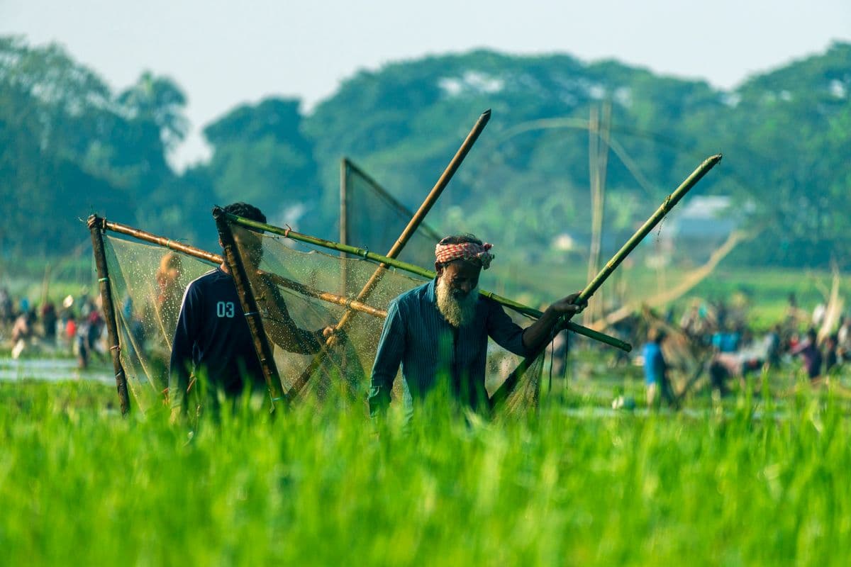 Bangladeshi fishermen working with a traditional net; illustrative stock photo, not an ASOK Foundation program
